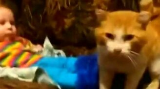 Опытный кот и ребёнок - смотреть видео (0:36)