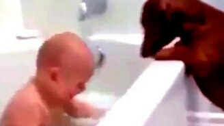 Малыш в ванной и такса - смотреть видео (0:42)