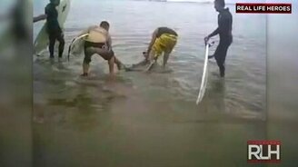 Люди вызволяют зверей - смотреть видео (5:12)