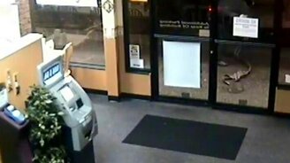 Неопытные воры - смотреть видео (0:52)