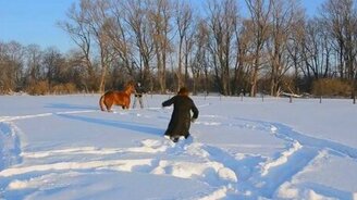 Неудачная попытка оседлать коня - смотреть видео (1:51)