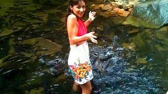 Туристы кормят чёрного карпа - смотреть видео (1:19)