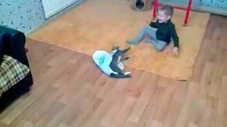 Мальчик, кот и пакет - смотреть видео (3:47)