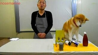 Безалаберный пёсик - смотреть видео (1:31)