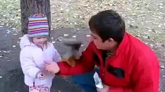 Напористая белочка - смотреть видео (1:04)