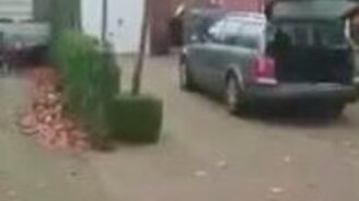 Гулять поедем? - смотреть видео (0:39)