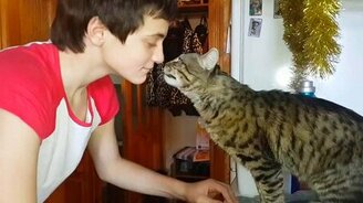 Кот мстит шутнику - смотреть видео (0:11)