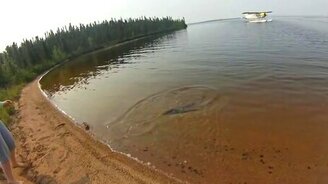 Хищные щуки атакуют - смотреть видео (2:35)