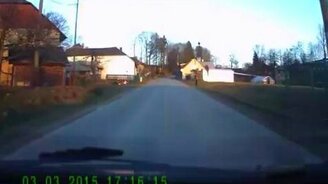 Пёс выгуливает мальчика - смотреть видео (0:19)