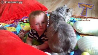 Детки и кошечки - смотреть видео (5:04)