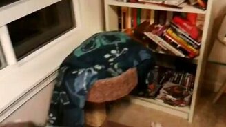 Кот вместо головного убора - смотреть видео (1:14)