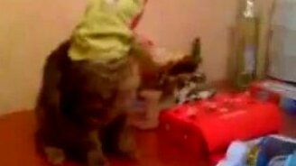 Забавное издевательство - смотреть видео (0:26)