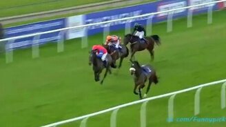 Эпичное падение жокея - смотреть видео (0:30)