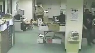 Собака почувствовала землетрясение за 10 секунд до его начала - смотреть видео (0:58)