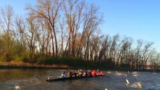 Азиатские карпы атакуют! - смотреть видео (2:45)