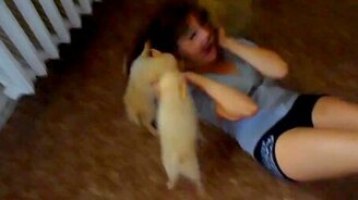 Стая собак набросилась на девушку - смотреть видео (0:25)