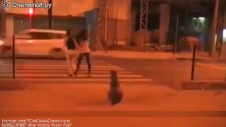 Самые грамотные пешеходы - смотреть видео (5:11)