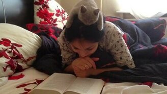 Девушка с котёнком читают книгу - смотреть видео (1:13)
