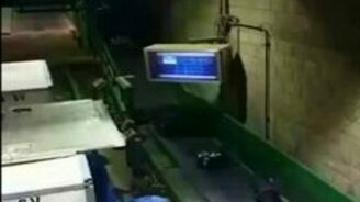 Разгрузка багажа вживую - смотреть видео (1:42)