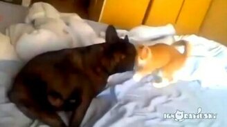 Рыжий завалил француза - смотреть видео (0:20)