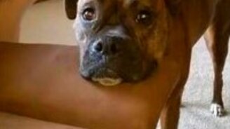 Поиграйте со мнооой! - смотреть видео (0:18)