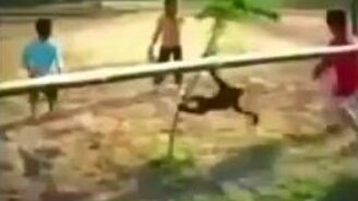 Откуда у паркура ноги растут - смотреть видео (1:26)