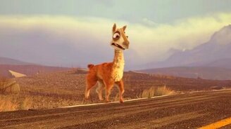 Лама переходит дорогу - смотреть видео (1:30)