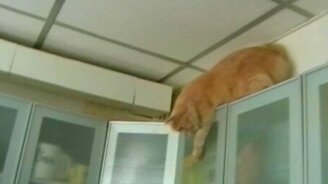 Буся-космонавтка - смотреть видео (3:11)