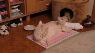 Домик, прощай! - смотреть видео (4:58)