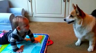 Чего лежишь, пошли играть! - смотреть видео (0:48)