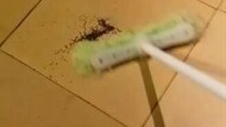 Раздавил беременную паучиху - смотреть видео (0:54)