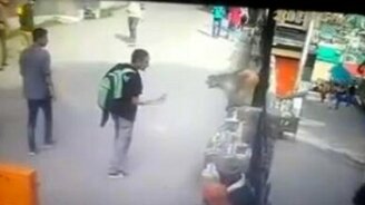 Обезьяна проучила хулигана - смотреть видео (0:41)