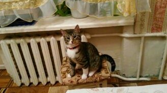 Джек, мясо хочешь? - смотреть видео (0:35)