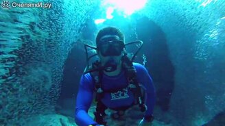 Среди миллионов рыбёшек - смотреть видео (1:24)