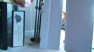 Бойся меня, я кошка! - смотреть видео (0:30)