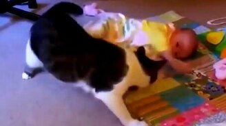 Кошка трётся о ребёнка - смотреть видео (2:34)