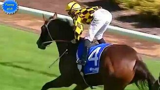 Неожиданный финиш жокея - смотреть видео (0:16)