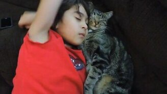 Девочка и кот сладко спят - смотреть видео (0:49)