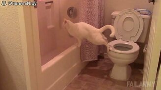 Кошачья тёмная сторона - смотреть видео (8:24)