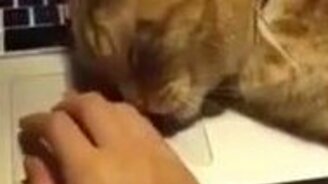 Рыжий эгоист - смотреть видео (1:06)