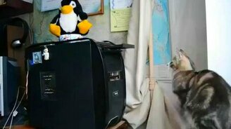 Кот против дисковода - смотреть видео (0:51)