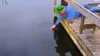 Ловля рыбы голыми руками - смотреть видео (0:24)