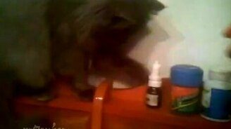 Моя полка - мои правила - смотреть видео (1:02)