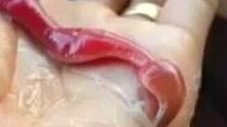 Странный немертин - смотреть видео (0:10)