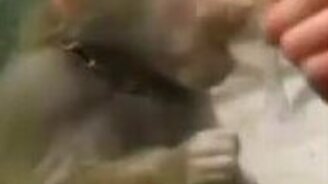 Ааа, такой глупый провал! - смотреть видео (0:10)