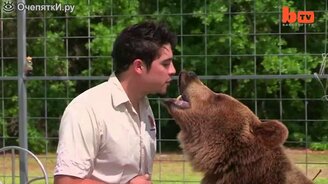 Дружба с 13 медведями - смотреть видео (4:19)