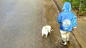 Дети любят гулять с папой - смотреть видео (0:16)