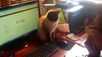 Как вылечиться от интернет-зависимости - смотреть видео (1:03)