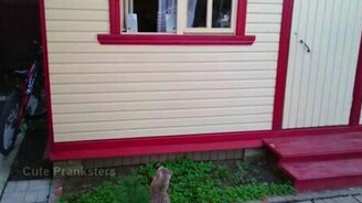 Не люблю я тебя, пошёл вон! - смотреть видео (0:34)