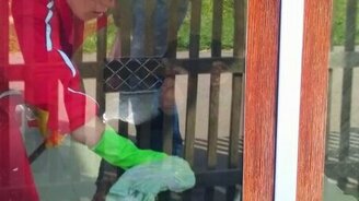 Шимпанзе помогает мыть стёкла - смотреть видео (0:54)